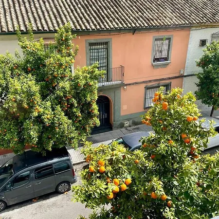 El Balcon De Naranjos