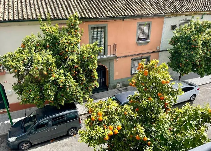 El Balcon De Naranjos