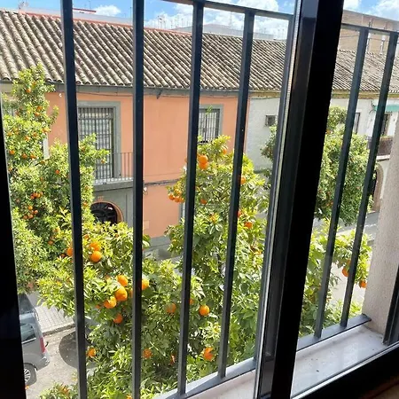 El Balcon De Naranjos Córdoba